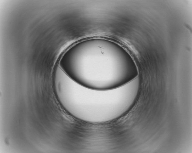 X0000096451316200801241131