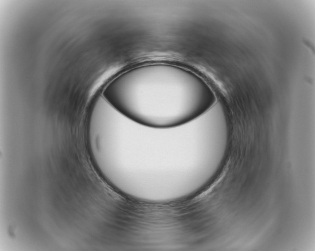 X0000096451317200801241131