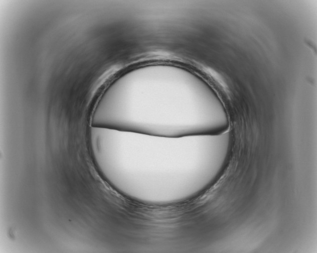 X0000096451318200801241131