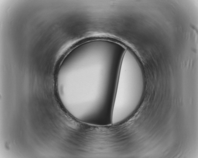 X0000096451319200801241131