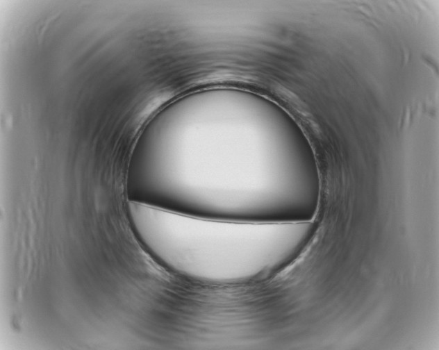 X0000096451321200801241131