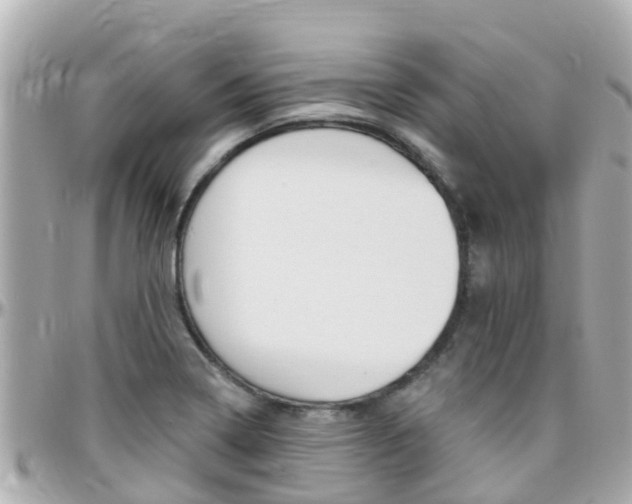 X0000096451322200801241131