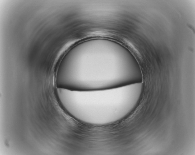 X0000096451323200801241131