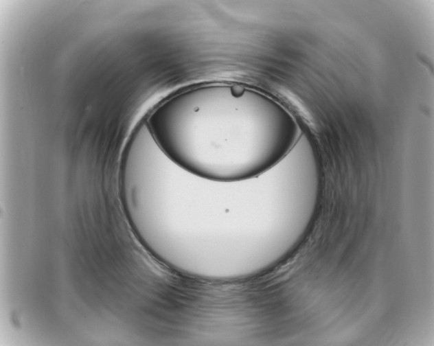 X0000096451324200801241131