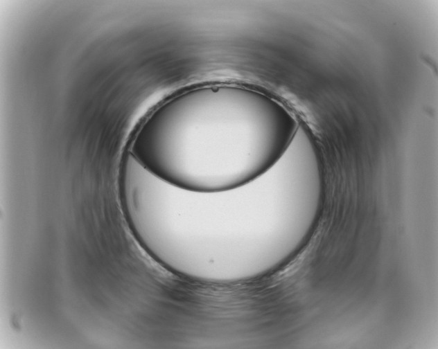 X0000096451326200801241131