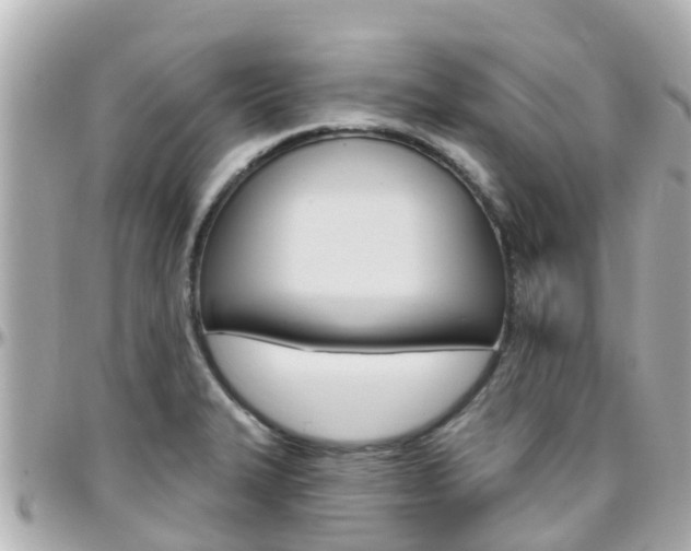 X0000096451327200801241131