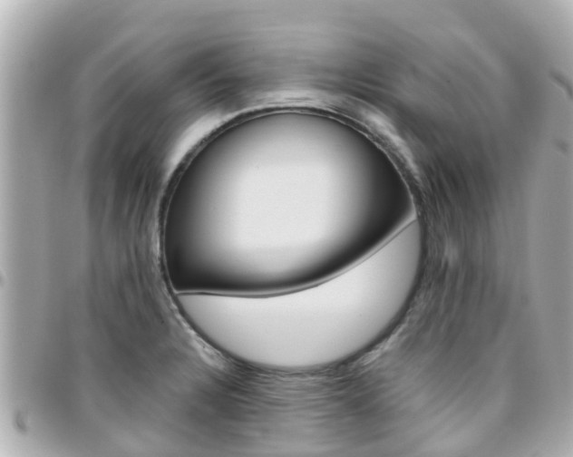 X0000096451328200801241131