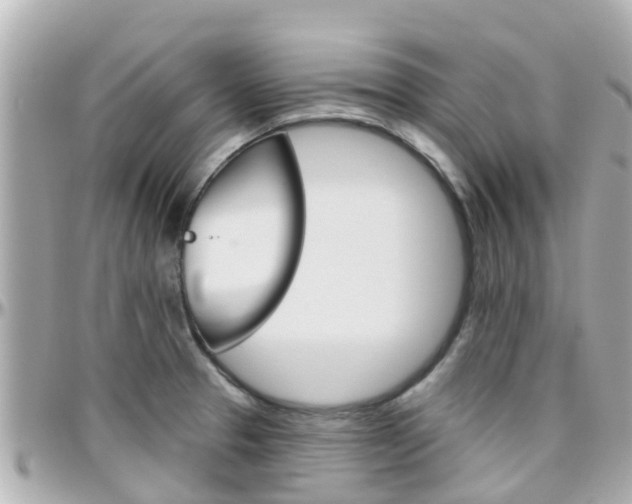 X0000096451329200801241131