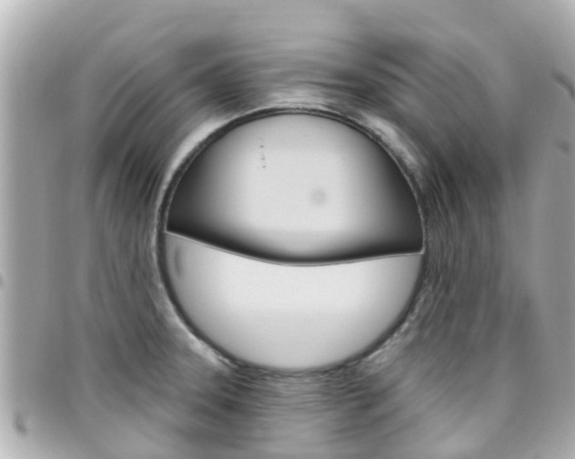 X0000096451331200801241131