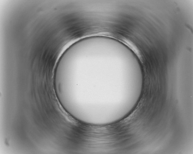 X0000096451332200801241131