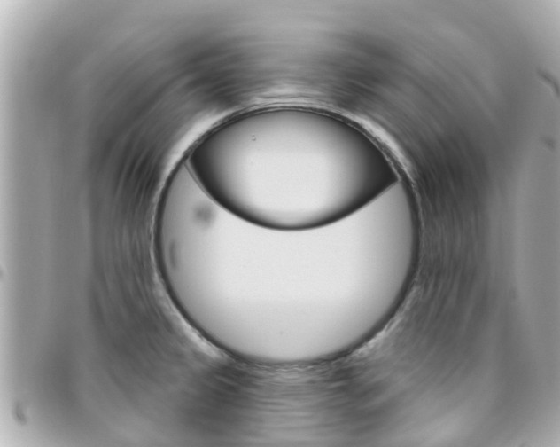 X0000096451333200801241131