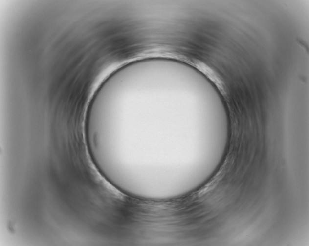X0000096451334200801241131