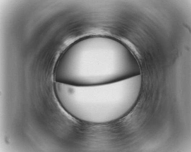 X0000096451335200801241131
