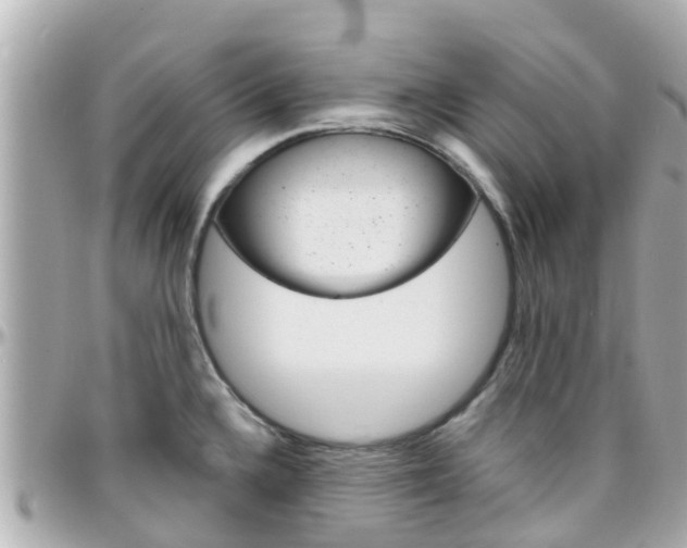 X0000096451336200801241131