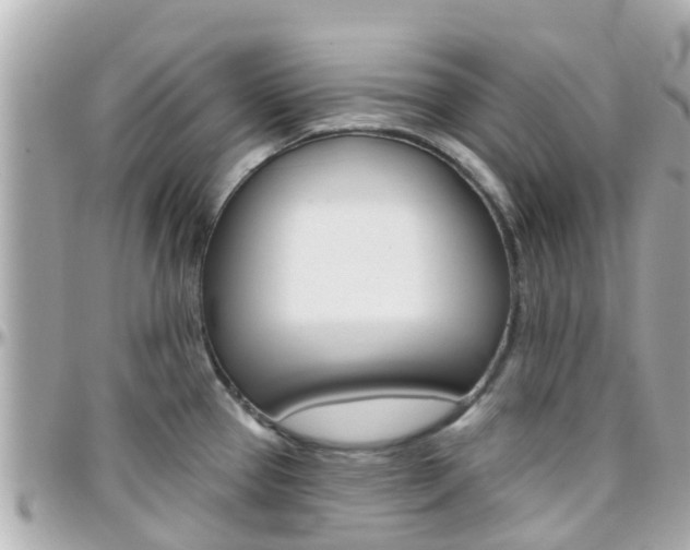 X0000096451337200801241131