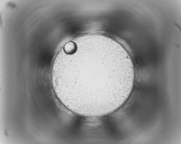 X0000096451338200801241131
