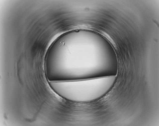 X0000096451339200801241131