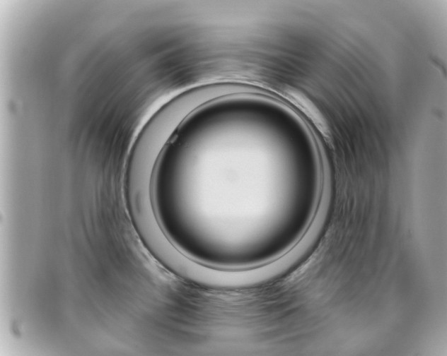 X0000096451340200801241131