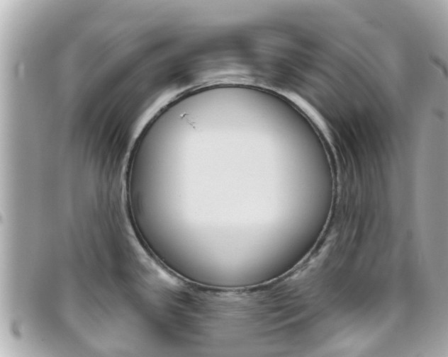 X0000096451341200801241131