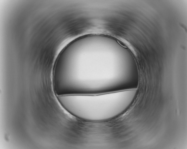 X0000096451343200801241131