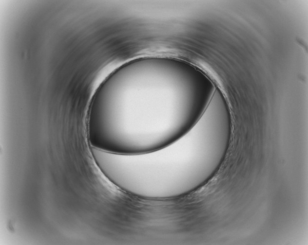 X0000096451344200801241131