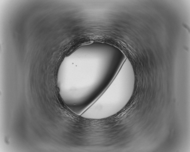 X0000096451345200801241131