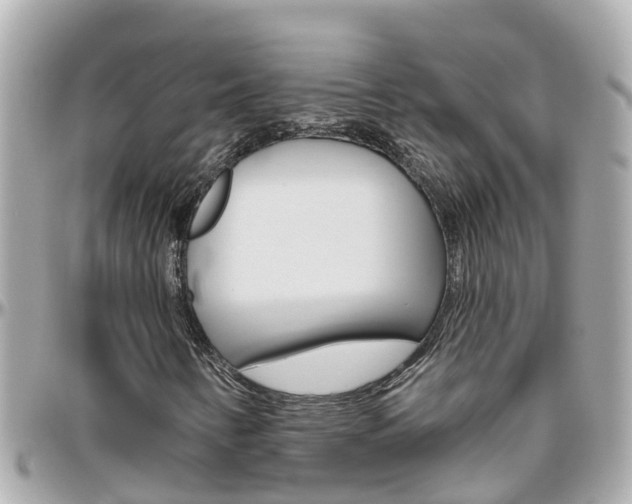 X0000096451346200801241131