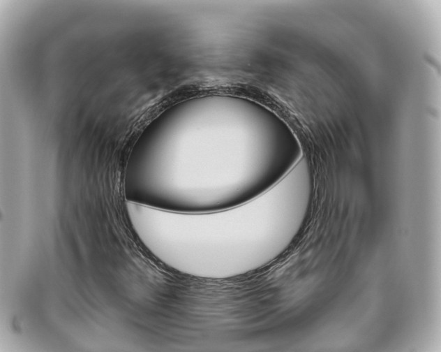 X0000096451348200801241131