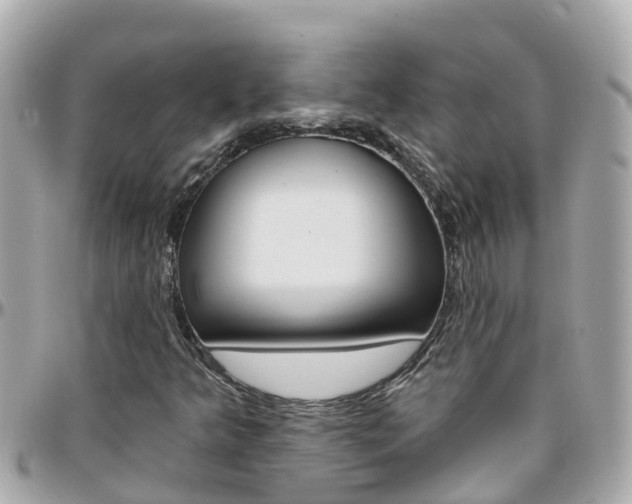 X0000096451349200801241131