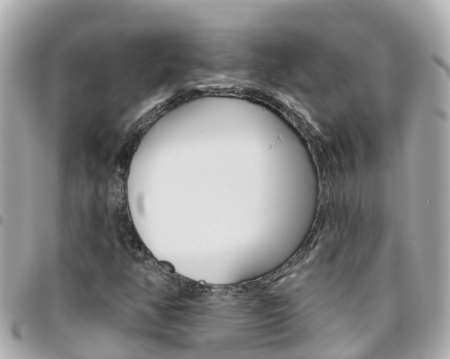X0000096451350200801241131