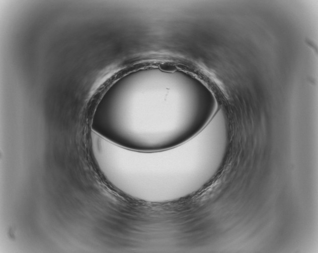 X0000096451352200801241131