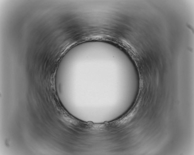 X0000096451353200801241131