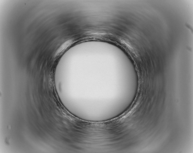 X0000096451354200801241131