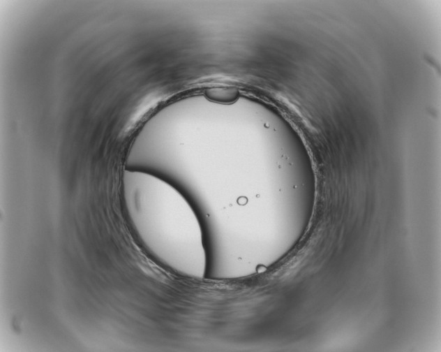 X0000096451355200801241131