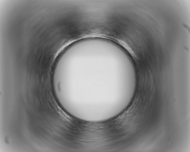 X0000096451356200801241131
