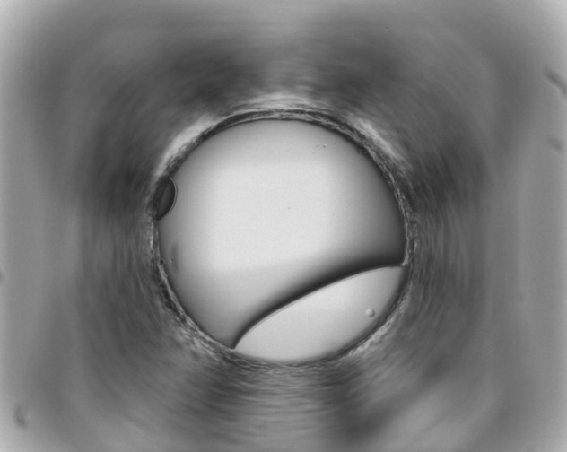 X0000096451358200801241131