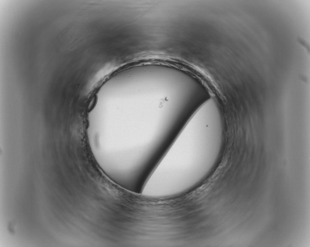 X0000096451359200801241131