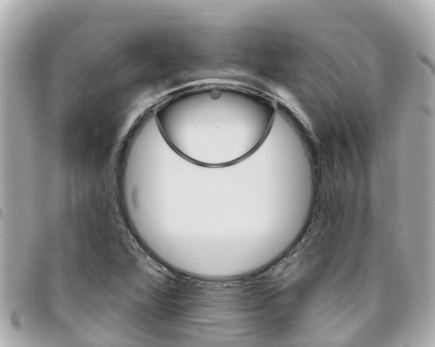 X0000096451360200801241131