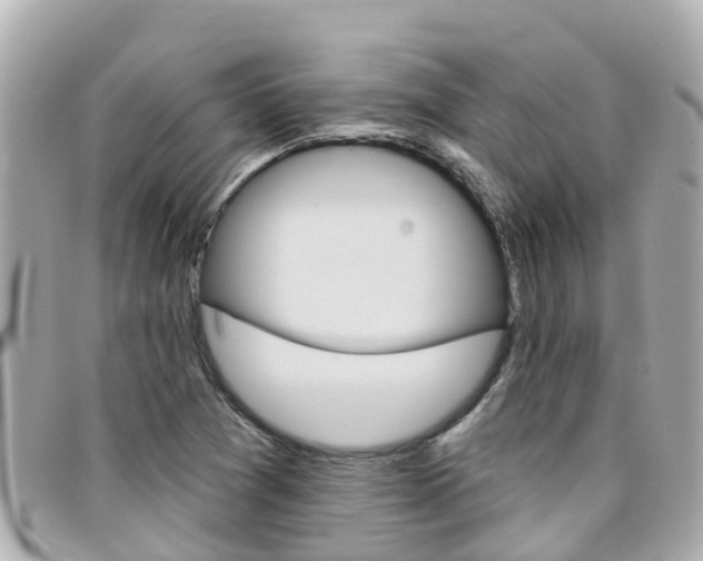 X0000096451361200801241131