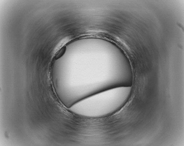 X0000096451362200801241131