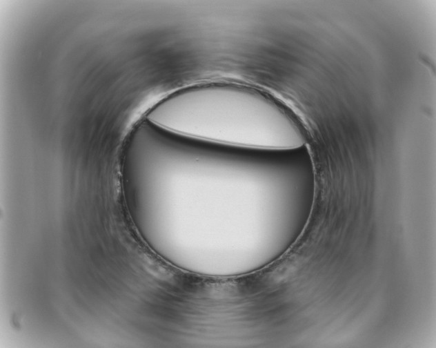 X0000096451363200801241131