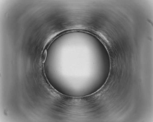 X0000096451364200801241130