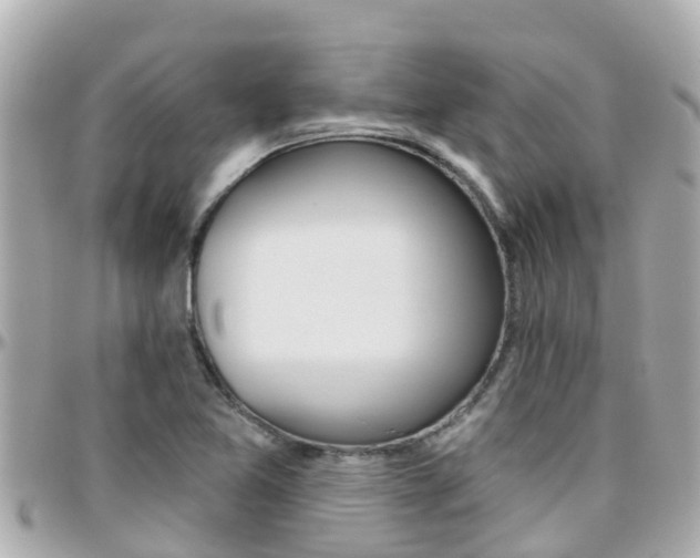 X0000096451365200801241130