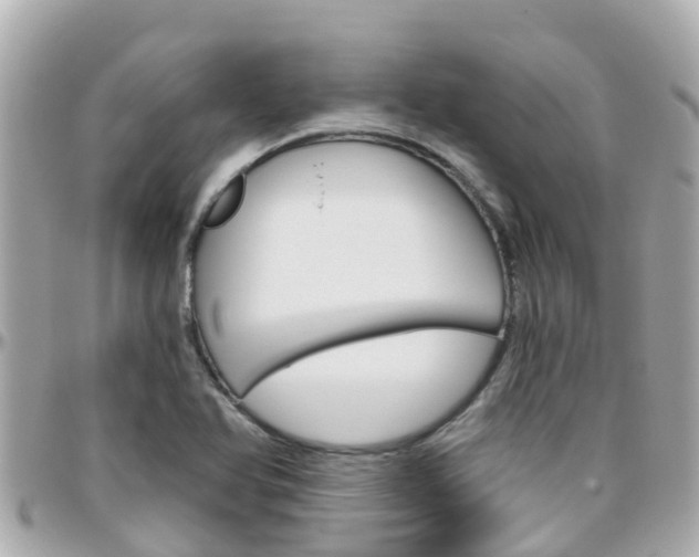 X0000096451366200801241130