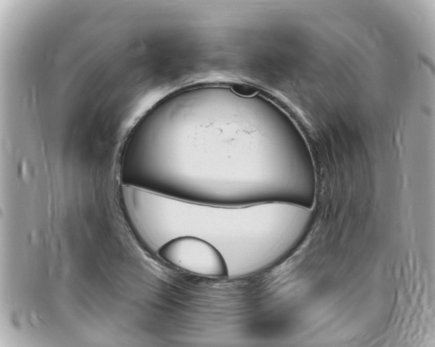 X0000096451367200801241130