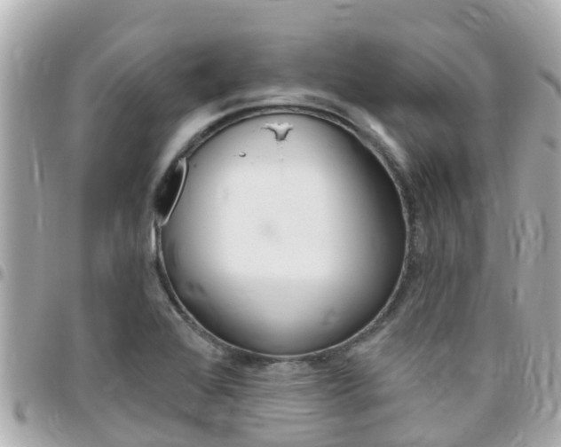 X0000096451368200801241130