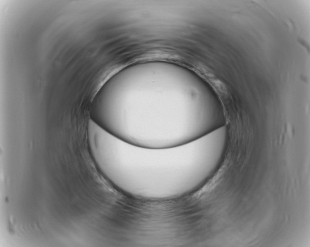 X0000096451369200801241130