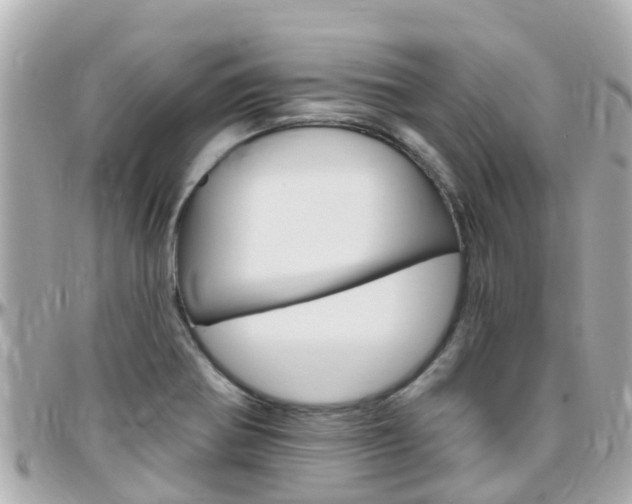 X0000096451370200801241130