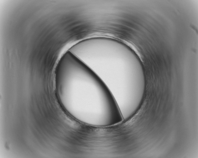X0000096451371200801241130