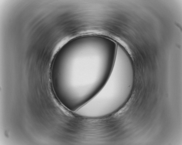 X0000096451373200801241130